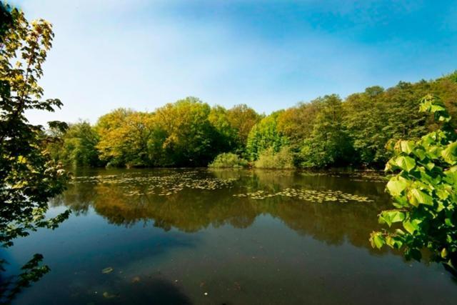 Hotel Waldesruh Am See Aumühle المظهر الخارجي الصورة